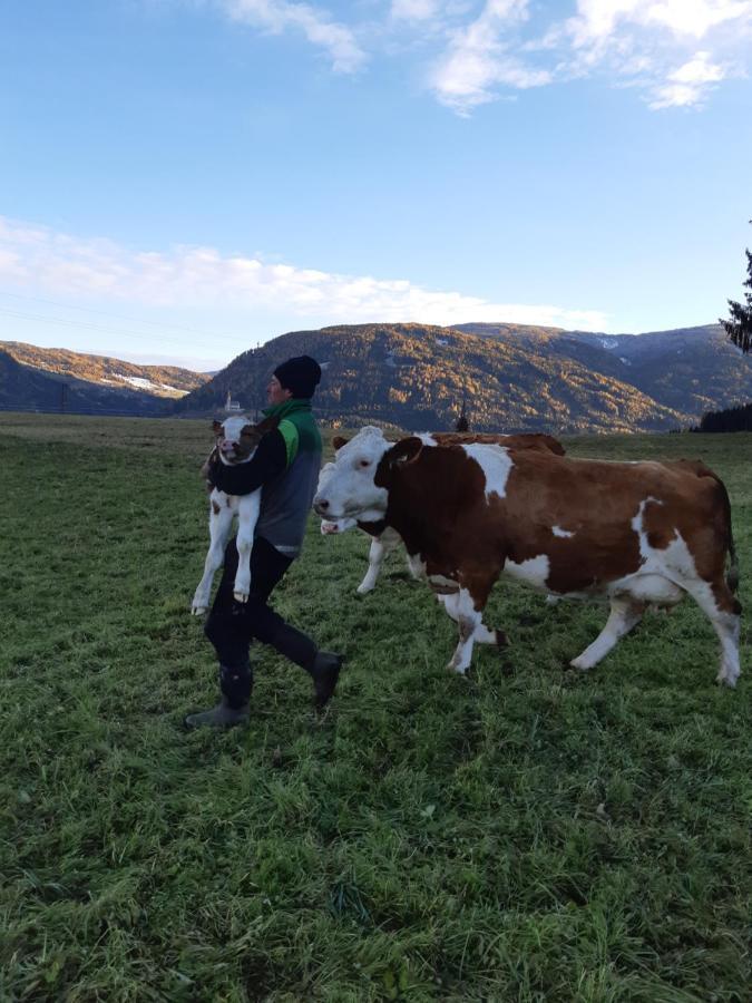 Sankt Andrä im Lungau Bio Bauernhof Schoberhof 빌라 외부 사진