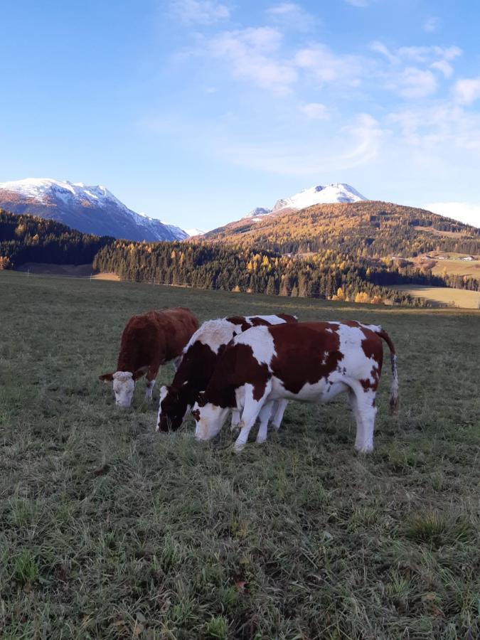Sankt Andrä im Lungau Bio Bauernhof Schoberhof 빌라 외부 사진