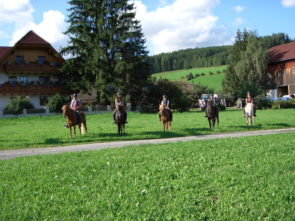 Sankt Andrä im Lungau Bio Bauernhof Schoberhof 빌라 외부 사진