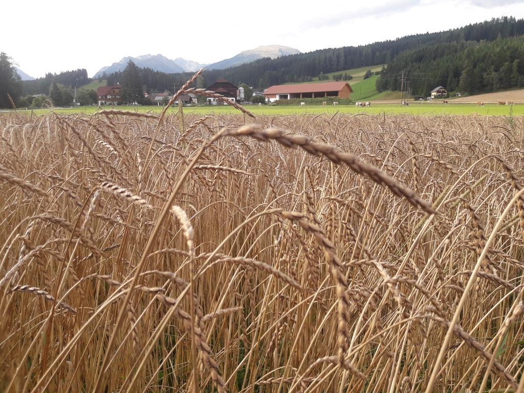 Sankt Andrä im Lungau Bio Bauernhof Schoberhof 빌라 외부 사진