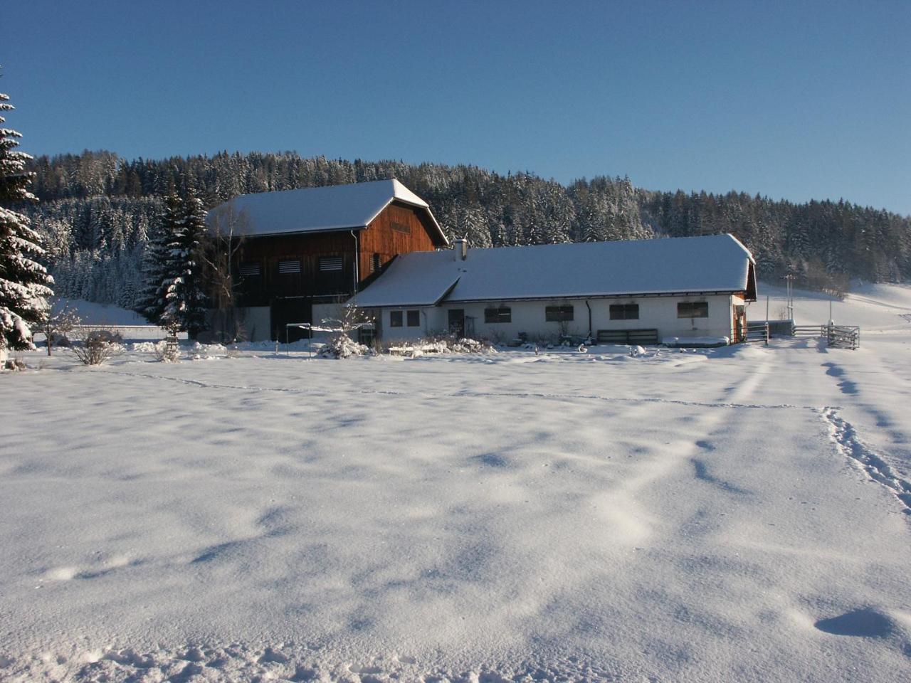 Sankt Andrä im Lungau Bio Bauernhof Schoberhof 빌라 외부 사진