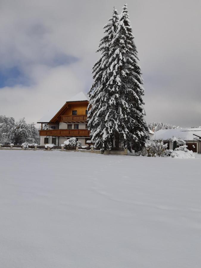 Sankt Andrä im Lungau Bio Bauernhof Schoberhof 빌라 외부 사진